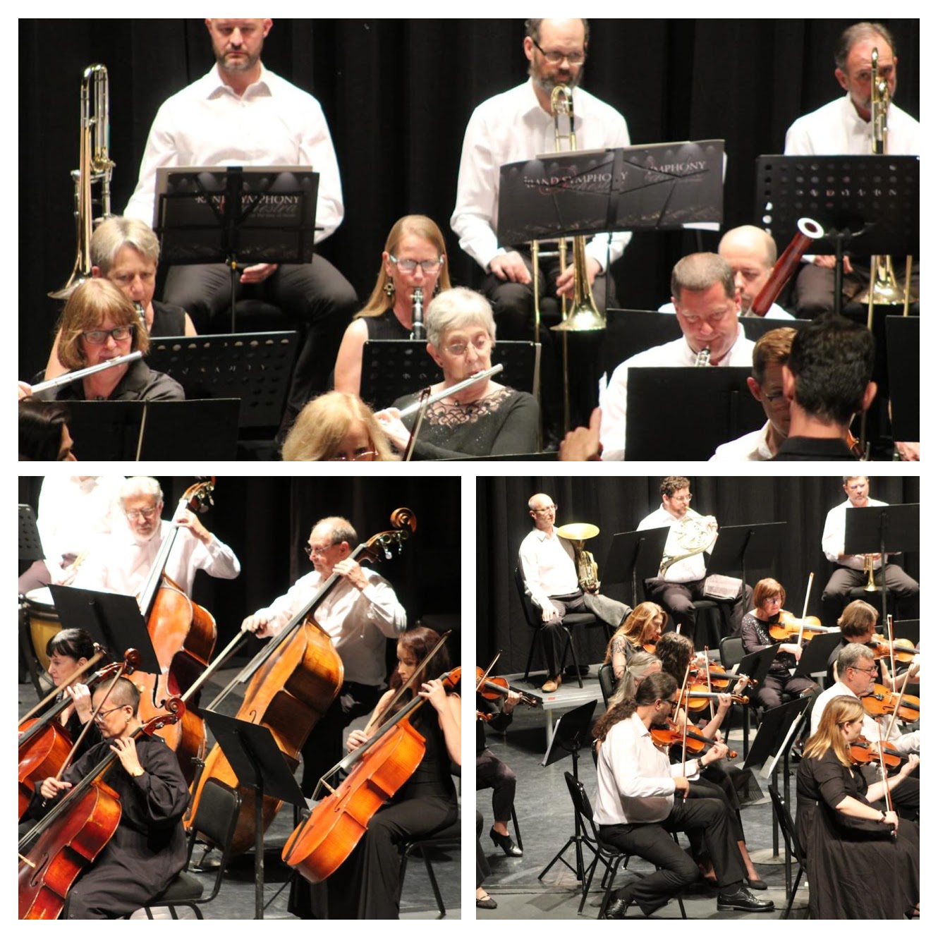 Collage - Winds, cellos and double bases and violins and horns